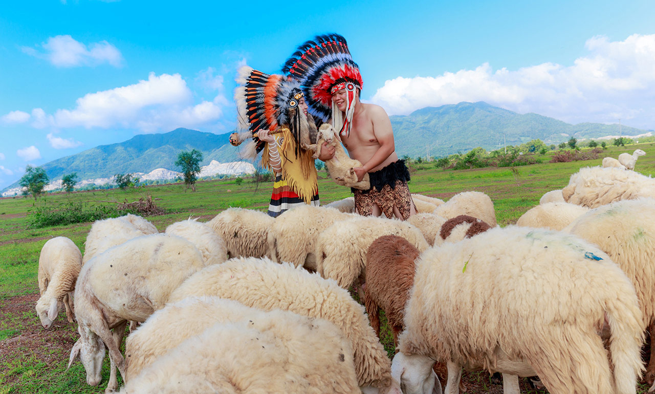 Mơ thấy con cừu