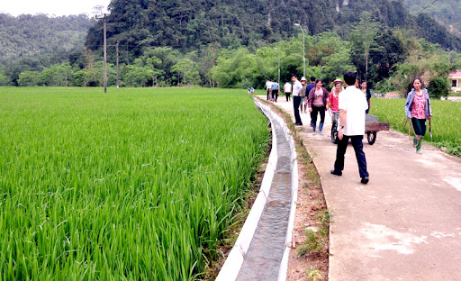 Mơ tháy con mương là điềm báo tốt hay xấu? Đánh số gì?