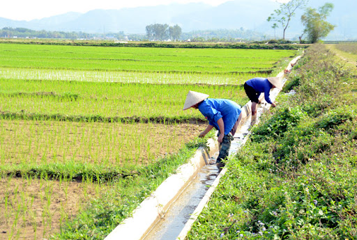 Mơ thấy mương