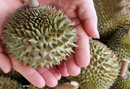 Mơ thấy sầu riêng
