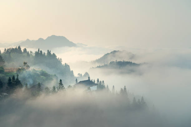 Mơ tháy sương mù